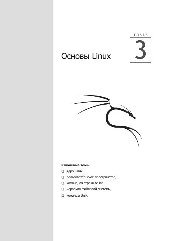 Рафаэль Херцог - Kali Linux от разработчиков - Страница № 65