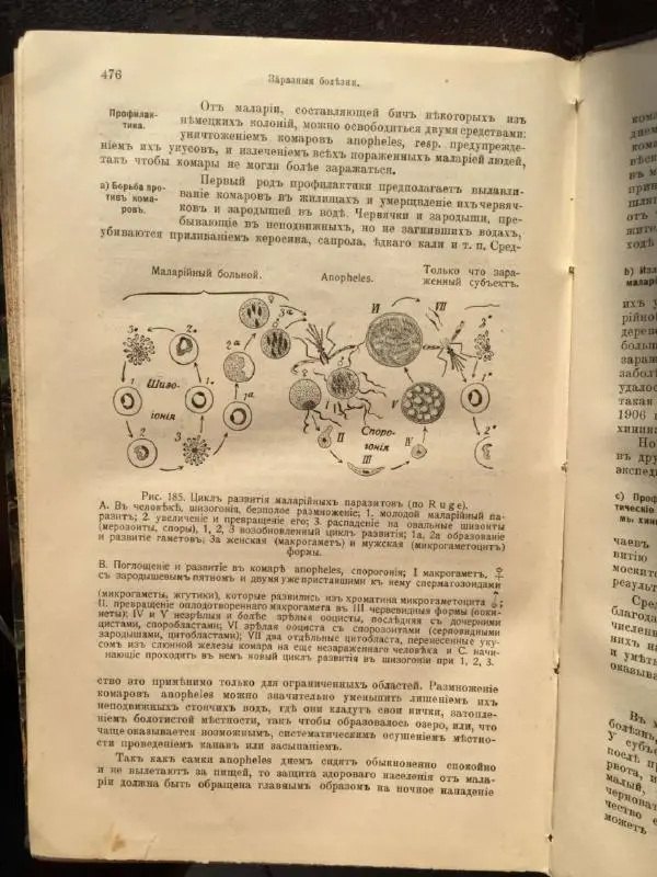 А. Гертнер - Руководство по гигиене - Страница № 495