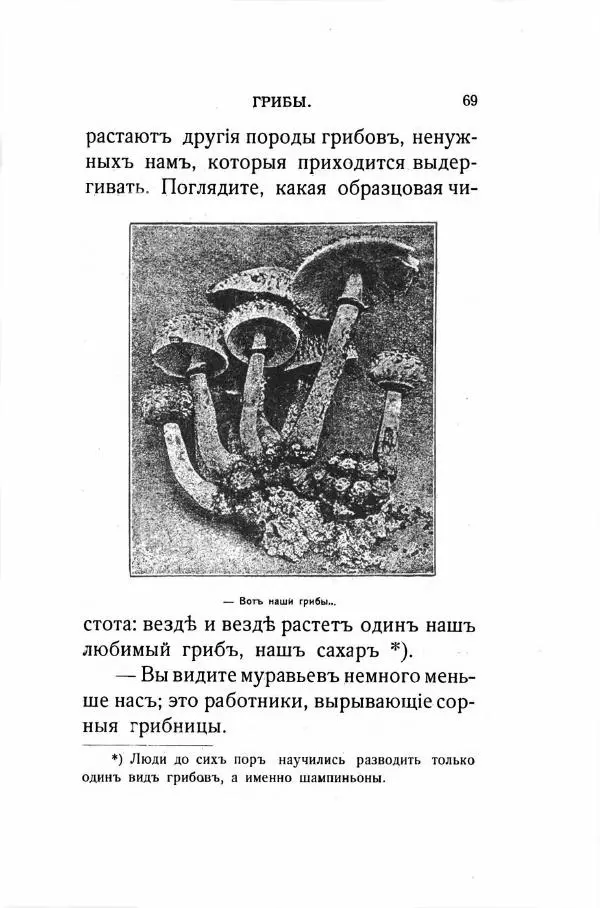 Василий Авенариус - Муравьиное царство. Приключения в микромире. Том VII - Страница № 76