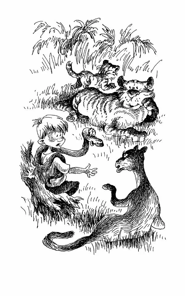 Владимир Пузий - Книгоед - Страница № 122