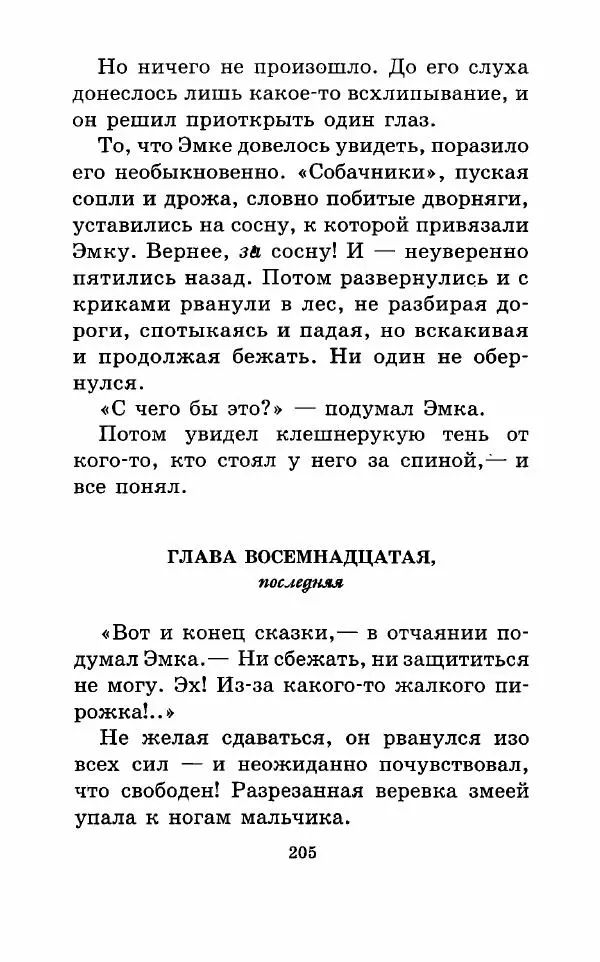 Владимир Пузий - Книгоед - Страница № 208