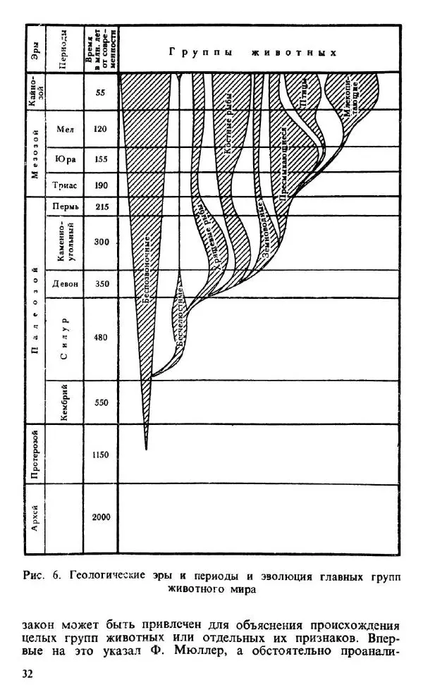 Ефим Лукин - Зоология - Страница № 33