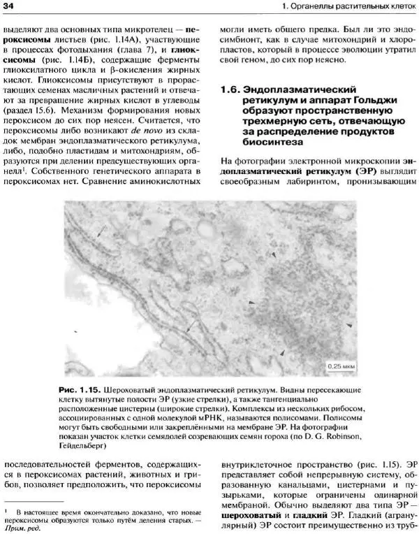 Ганс-Вальтер Хелдт - Биохимия растений - Страница № 35