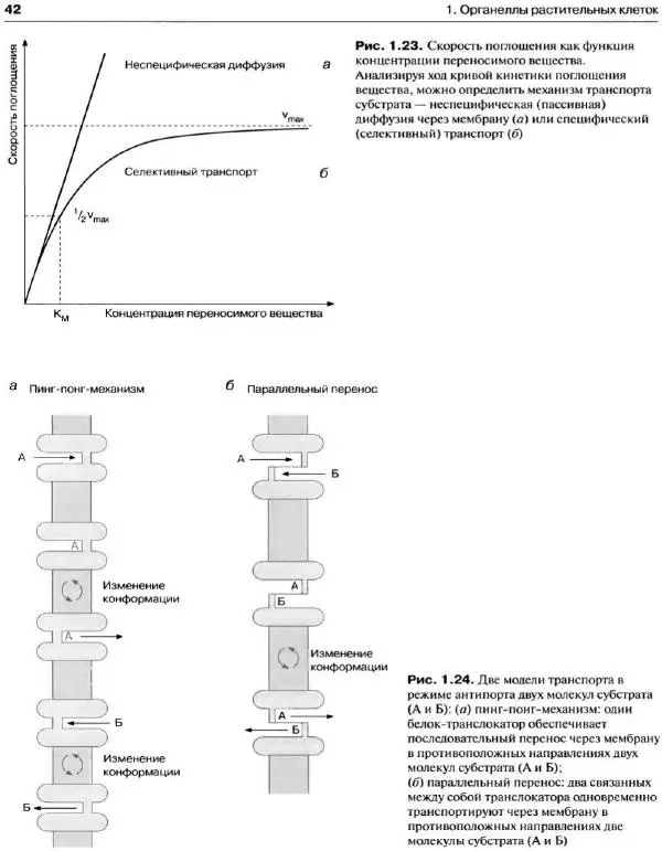 Ганс-Вальтер Хелдт - Биохимия растений - Страница № 43