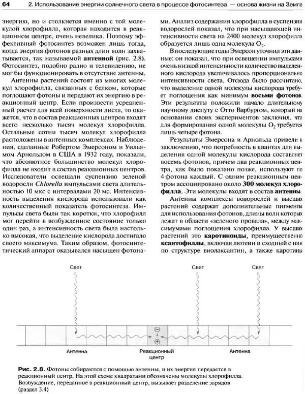 Ганс-Вальтер Хелдт - Биохимия растений - Страница № 65