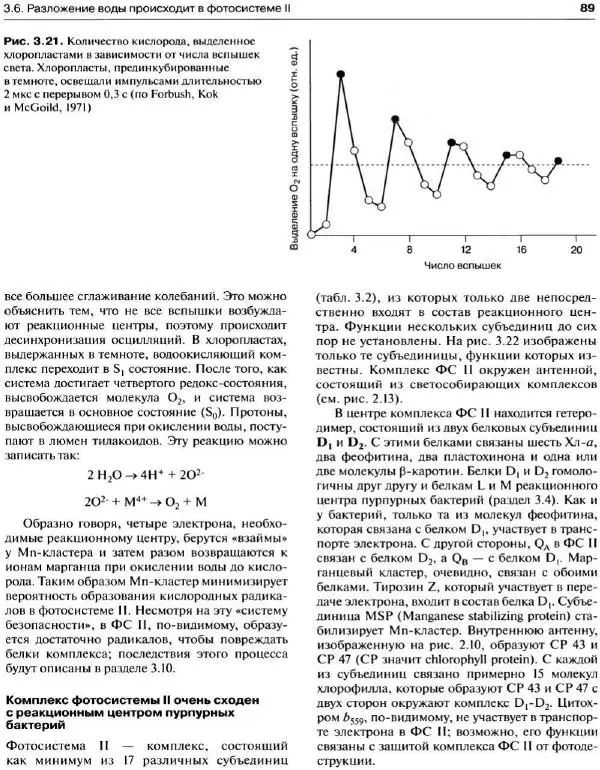 Ганс-Вальтер Хелдт - Биохимия растений - Страница № 90
