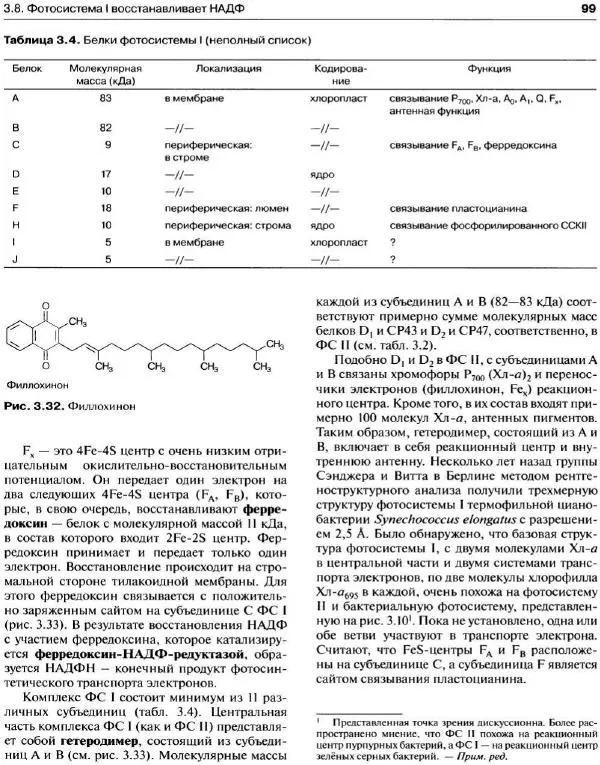 Ганс-Вальтер Хелдт - Биохимия растений - Страница № 100