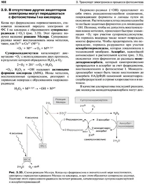 Ганс-Вальтер Хелдт - Биохимия растений - Страница № 103