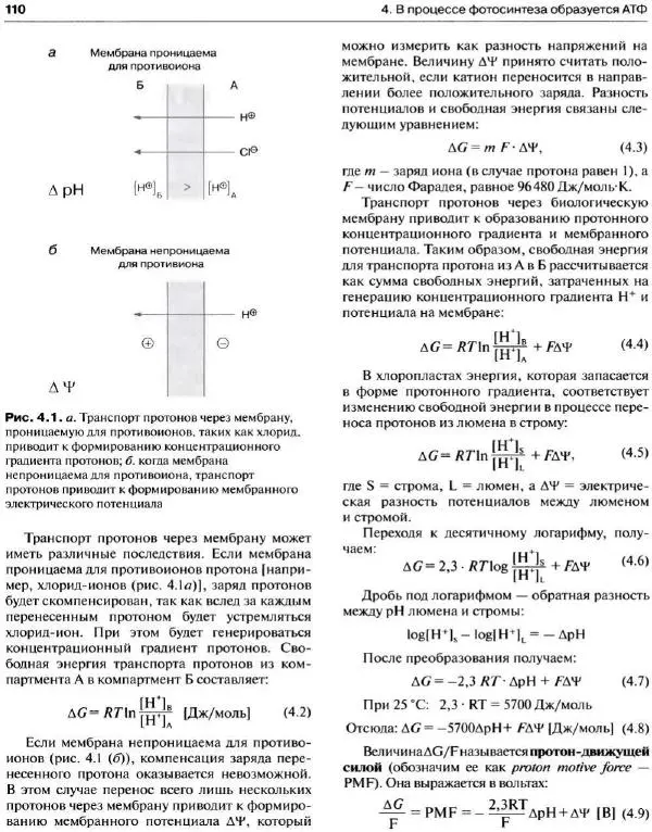 Ганс-Вальтер Хелдт - Биохимия растений - Страница № 111