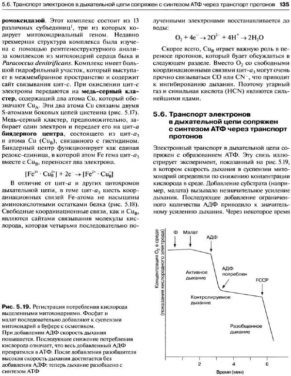 Ганс-Вальтер Хелдт - Биохимия растений - Страница № 136