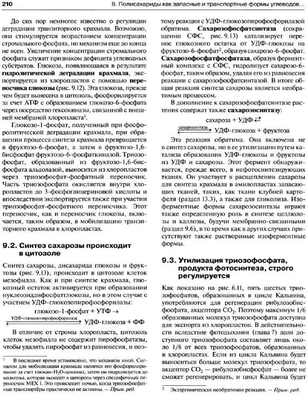 Ганс-Вальтер Хелдт - Биохимия растений - Страница № 211