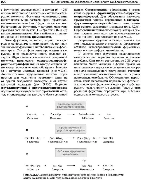 Ганс-Вальтер Хелдт - Биохимия растений - Страница № 221