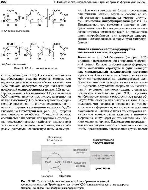 Ганс-Вальтер Хелдт - Биохимия растений - Страница № 223