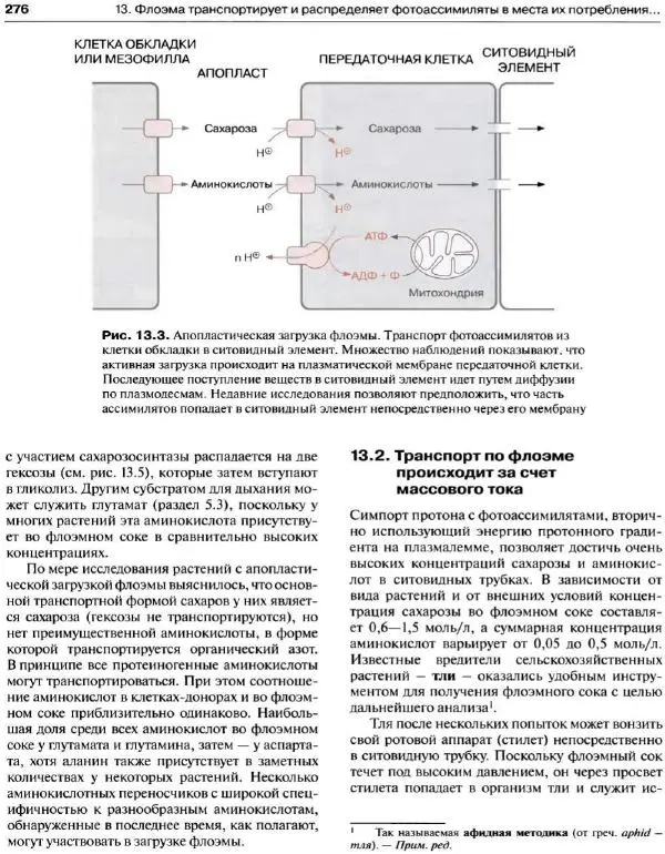 Ганс-Вальтер Хелдт - Биохимия растений - Страница № 277
