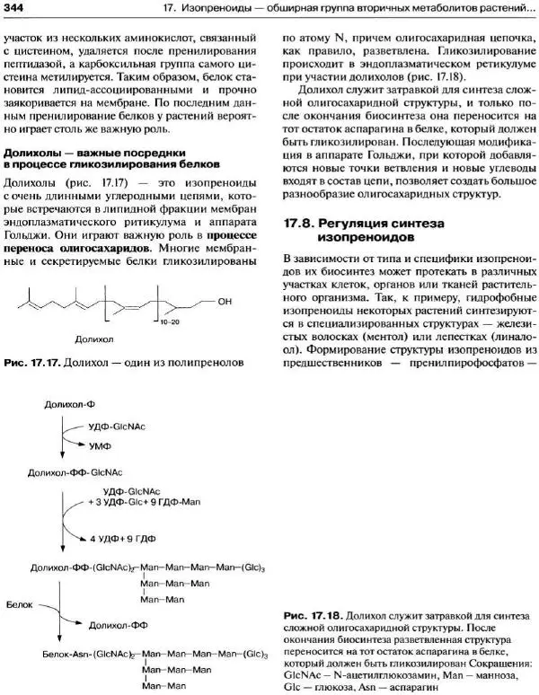 Ганс-Вальтер Хелдт - Биохимия растений - Страница № 345