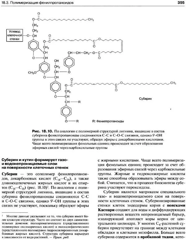 Ганс-Вальтер Хелдт - Биохимия растений - Страница № 356