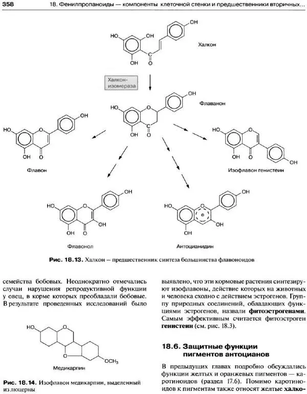 Ганс-Вальтер Хелдт - Биохимия растений - Страница № 359