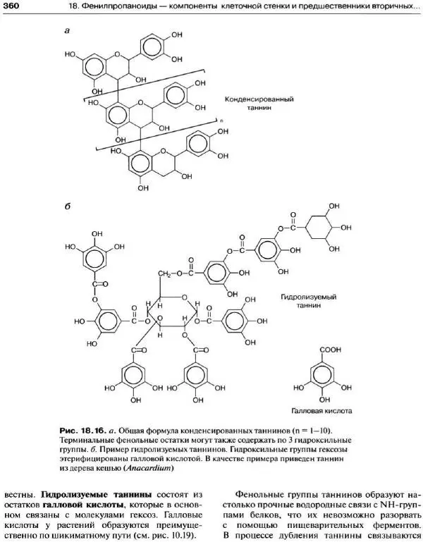 Ганс-Вальтер Хелдт - Биохимия растений - Страница № 361