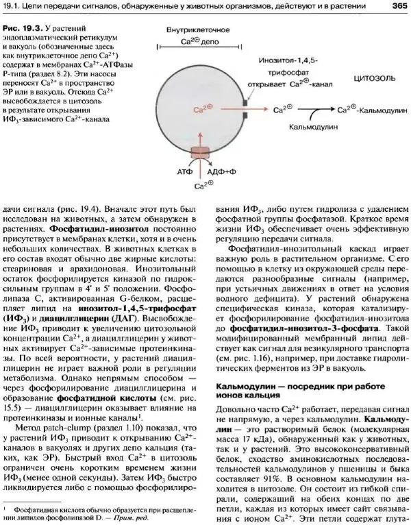 Ганс-Вальтер Хелдт - Биохимия растений - Страница № 366