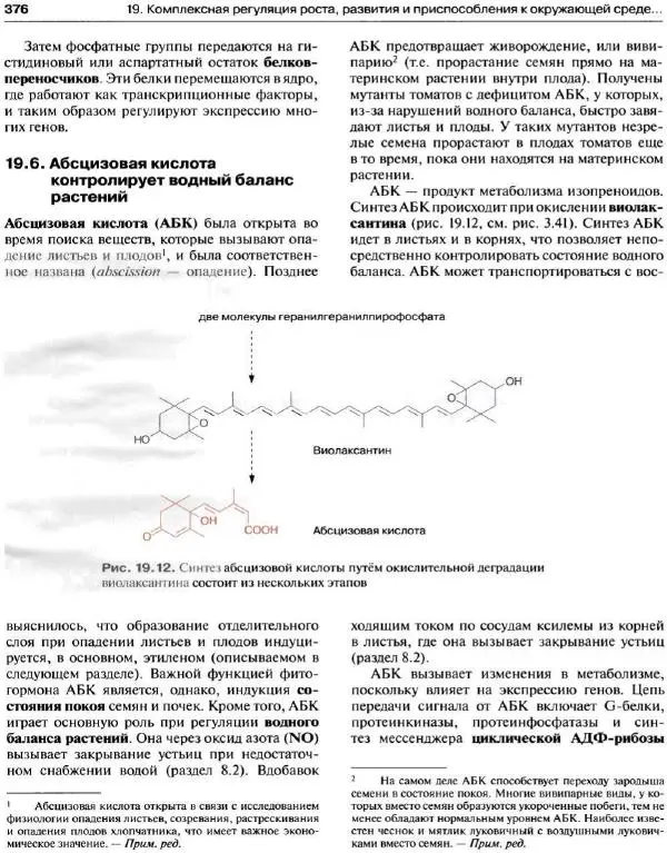 Ганс-Вальтер Хелдт - Биохимия растений - Страница № 377