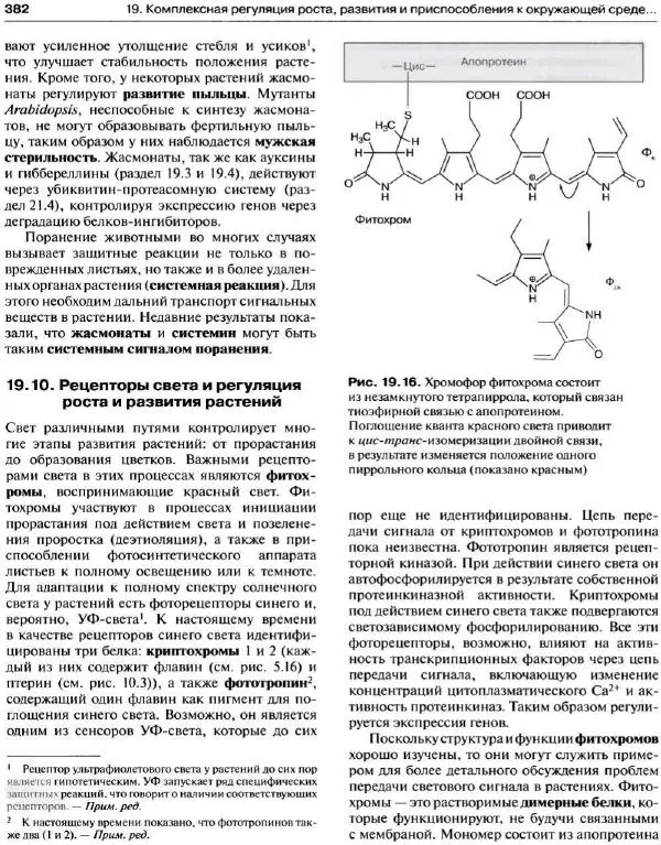 Ганс-Вальтер Хелдт - Биохимия растений - Страница № 383