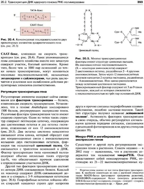 Ганс-Вальтер Хелдт - Биохимия растений - Страница № 394
