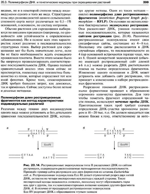 Ганс-Вальтер Хелдт - Биохимия растений - Страница № 400
