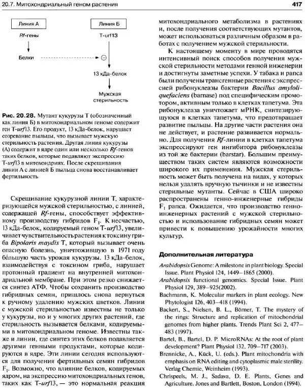 Ганс-Вальтер Хелдт - Биохимия растений - Страница № 418