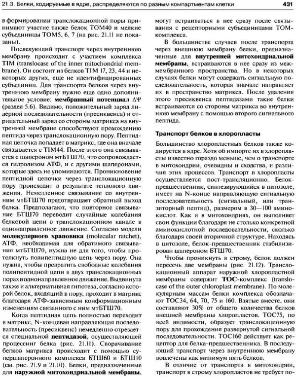 Ганс-Вальтер Хелдт - Биохимия растений - Страница № 432