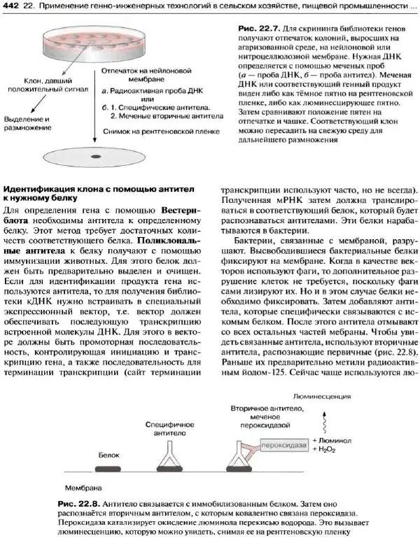 Ганс-Вальтер Хелдт - Биохимия растений - Страница № 443