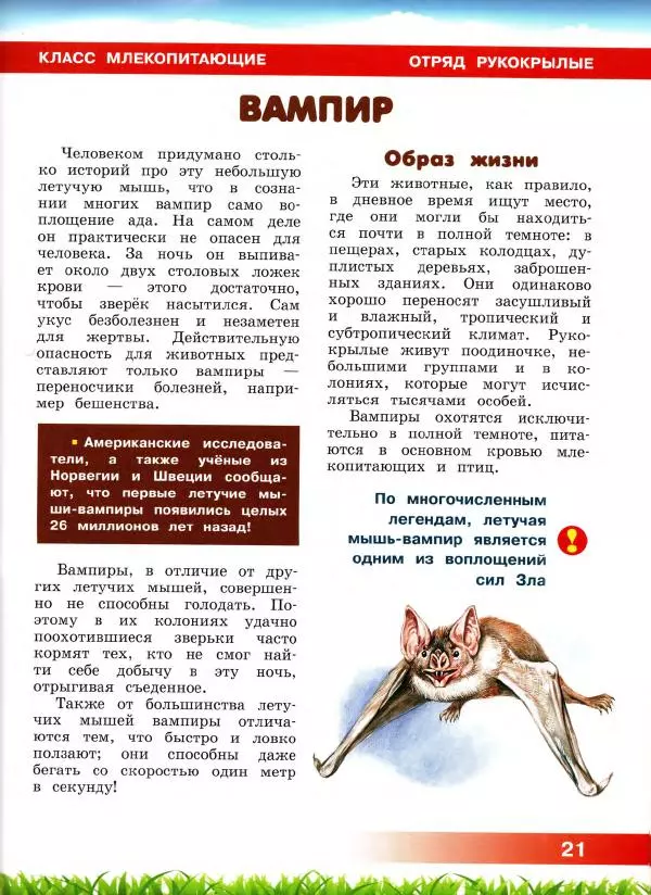 Сергей Рублев - Животные Южной Америки - Страница № 22