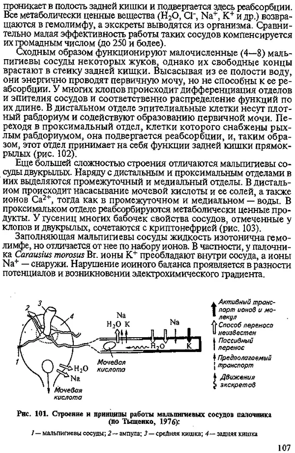 Юрий Захваткин - Курс общей энтомологии - Страница № 107