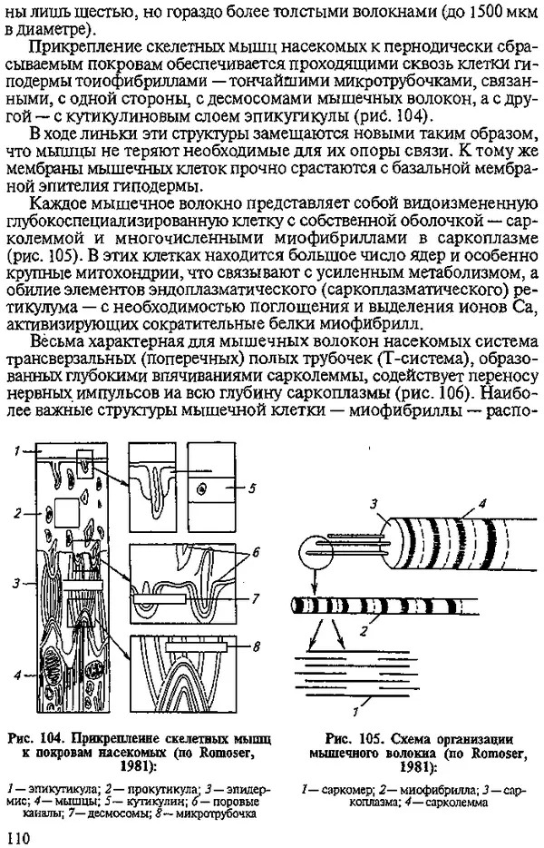Юрий Захваткин - Курс общей энтомологии - Страница № 110