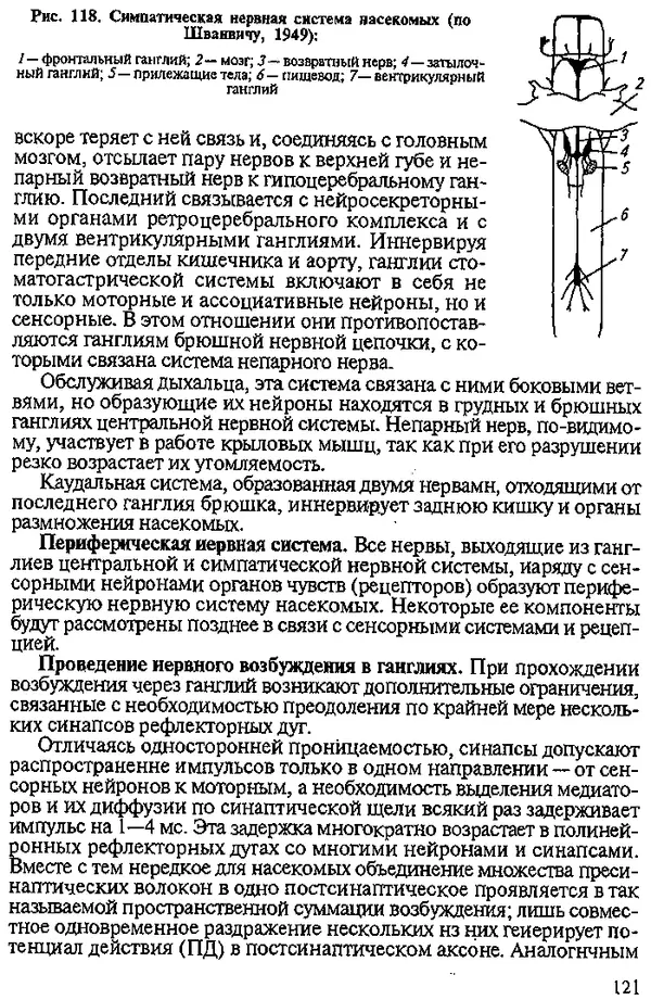 Юрий Захваткин - Курс общей энтомологии - Страница № 121