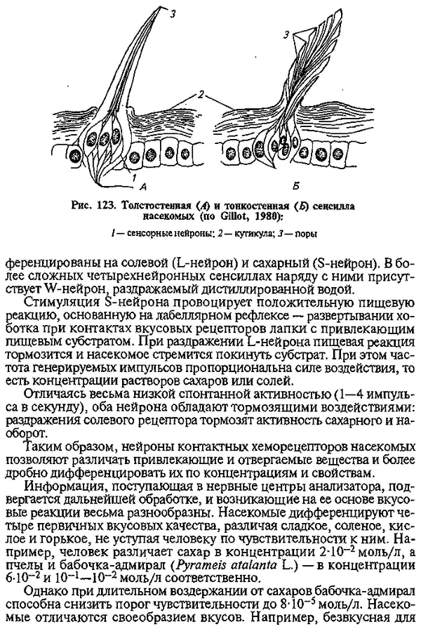 Юрий Захваткин - Курс общей энтомологии - Страница № 133