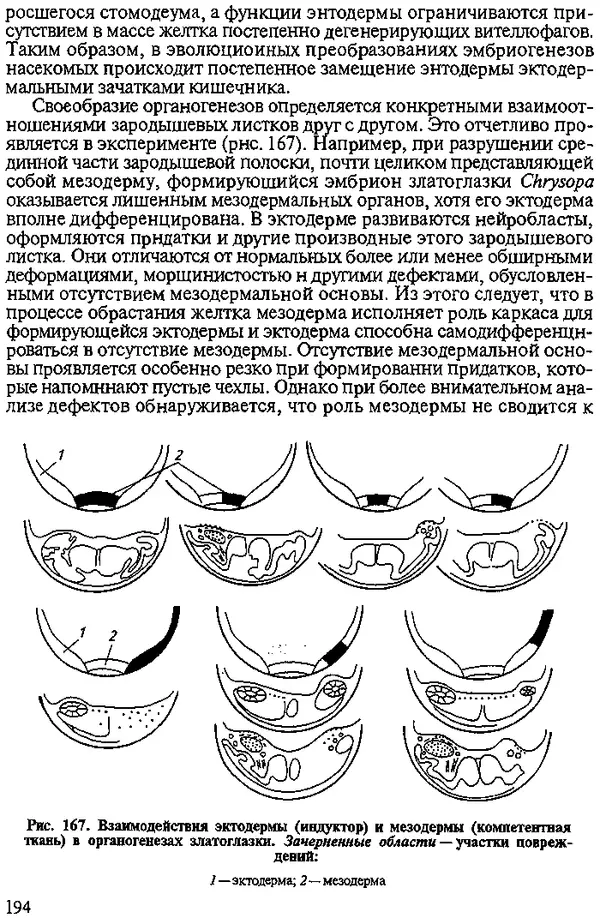 Юрий Захваткин - Курс общей энтомологии - Страница № 194