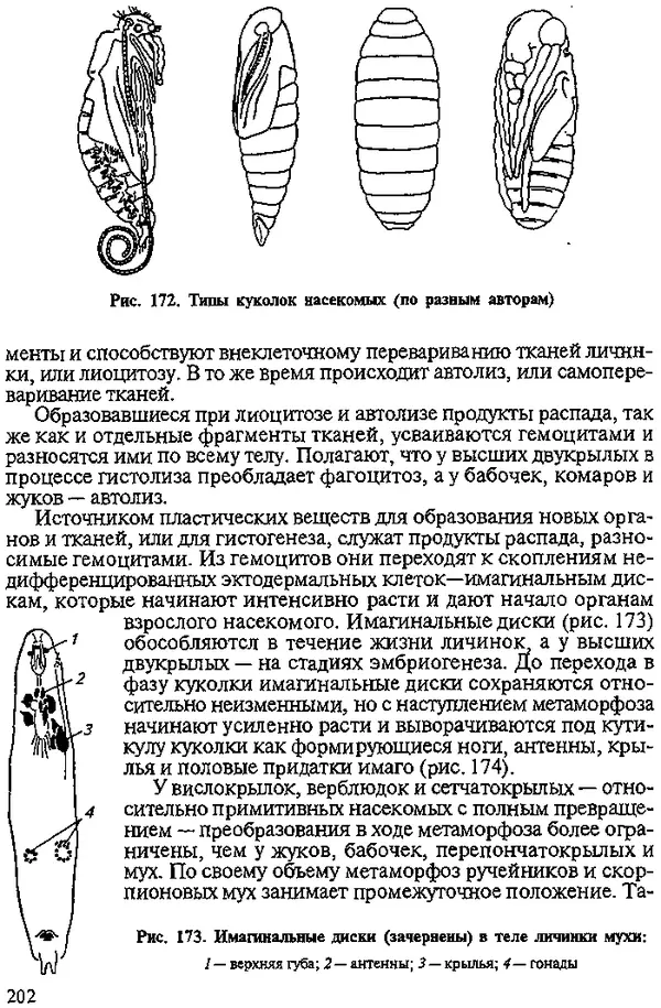Юрий Захваткин - Курс общей энтомологии - Страница № 202
