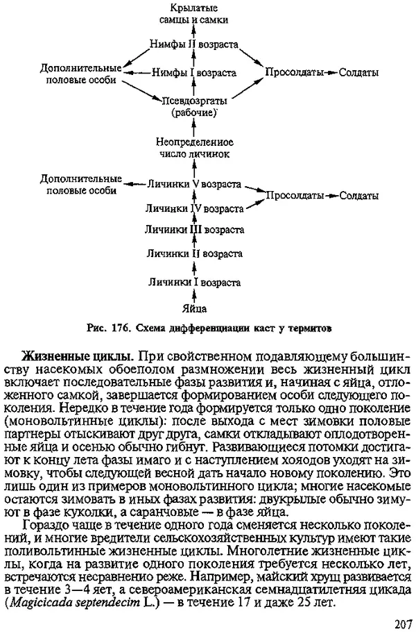 Юрий Захваткин - Курс общей энтомологии - Страница № 207