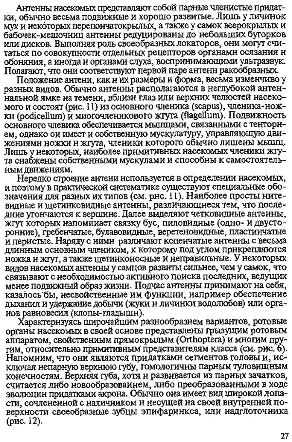 Юрий Захваткин - Курс общей энтомологии - Страница № 27