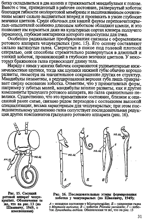 Юрий Захваткин - Курс общей энтомологии - Страница № 31