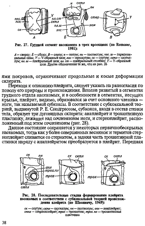 Юрий Захваткин - Курс общей энтомологии - Страница № 38