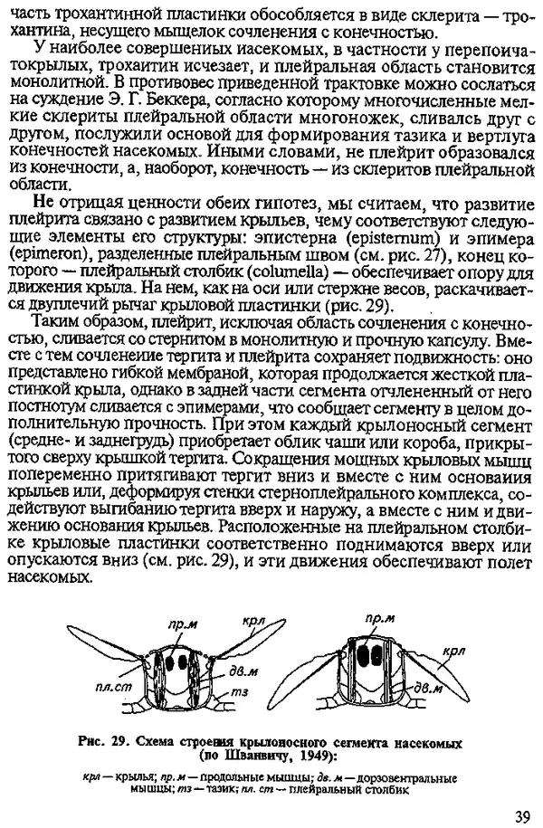 Юрий Захваткин - Курс общей энтомологии - Страница № 39