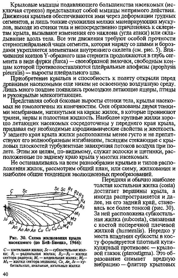 Юрий Захваткин - Курс общей энтомологии - Страница № 40