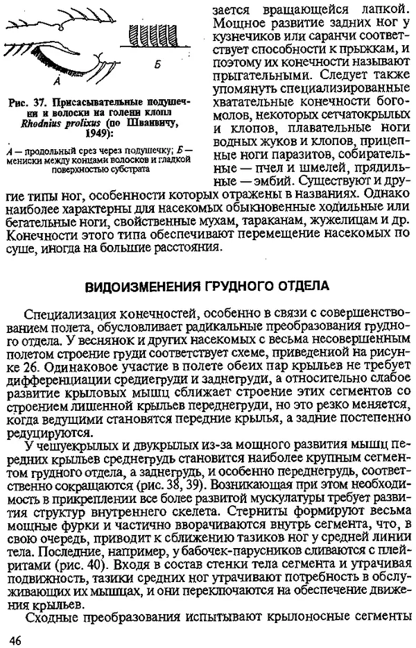 Юрий Захваткин - Курс общей энтомологии - Страница № 46
