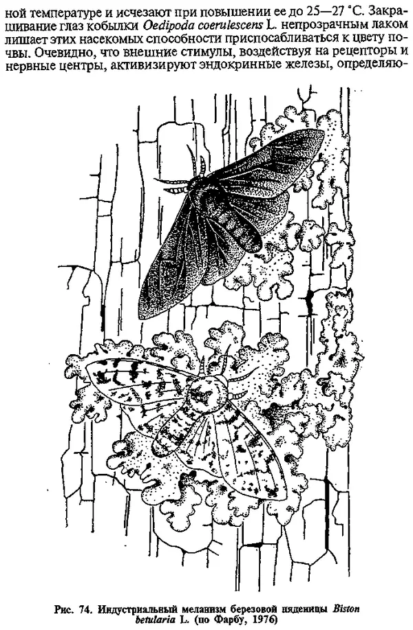 Юрий Захваткин - Курс общей энтомологии - Страница № 72