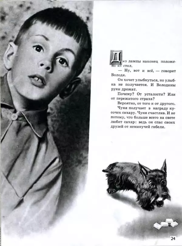 Павел Лопатин - Путешествие по электрической лампочке - Страница № 27