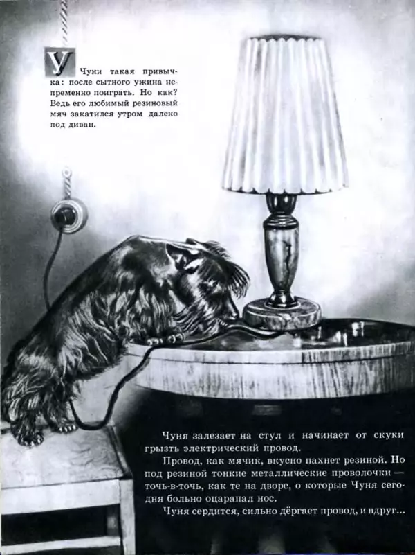 Павел Лопатин - Путешествие по электрической лампочке - Страница № 7