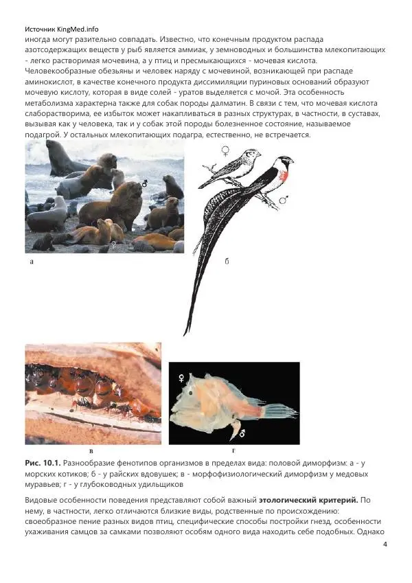  Коллектив авторов - Биология. Том 2 - Страница № 4