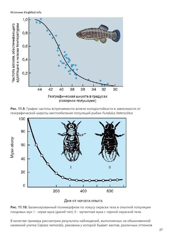  Коллектив авторов - Биология. Том 2 - Страница № 27