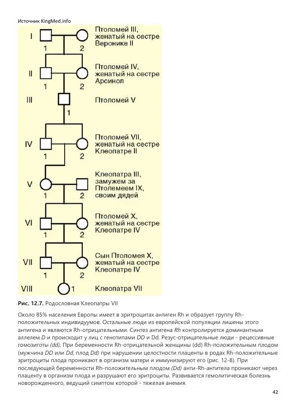  Коллектив авторов - Биология. Том 2 - Страница № 42